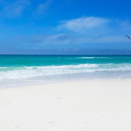 Laguna Beach Breeze Панама Сити Бийч Екстериор снимка